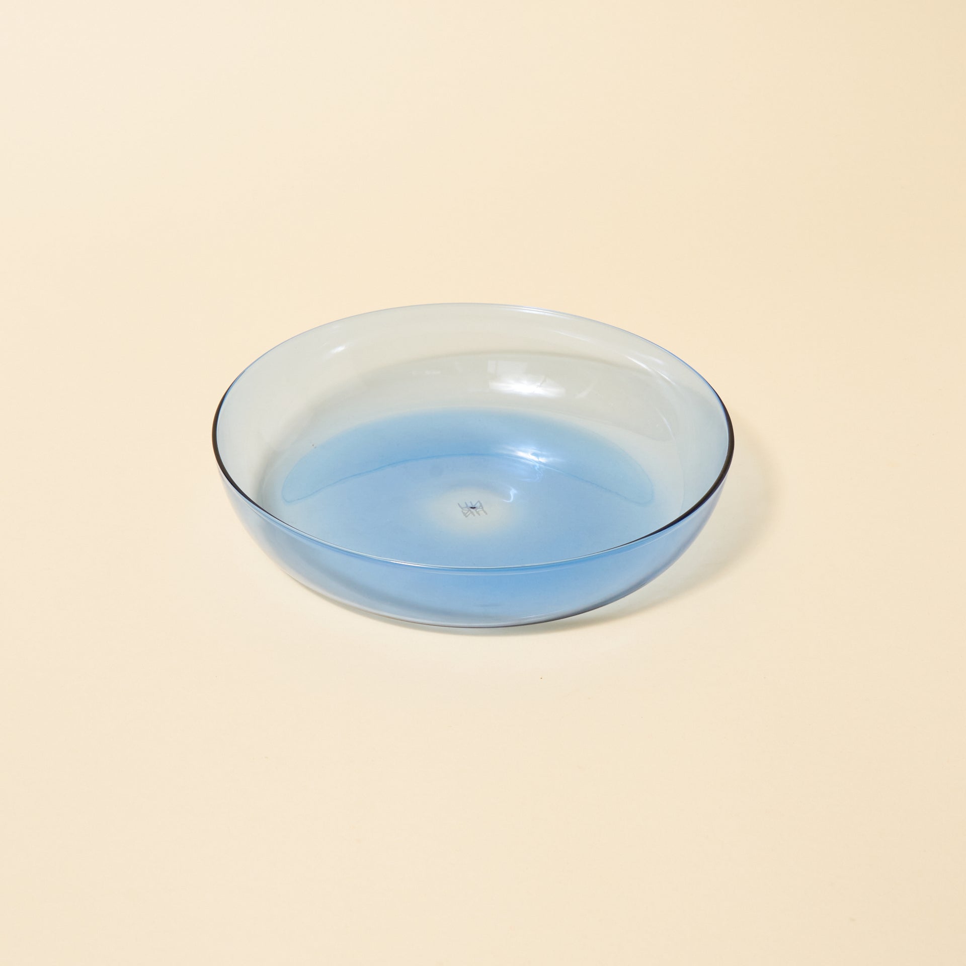 Glass Everything Bowl