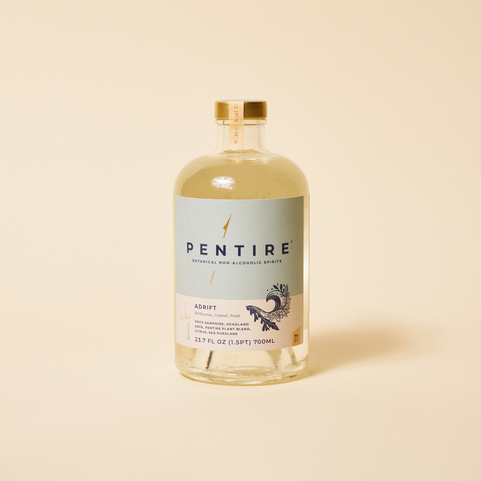Pentire Adrift