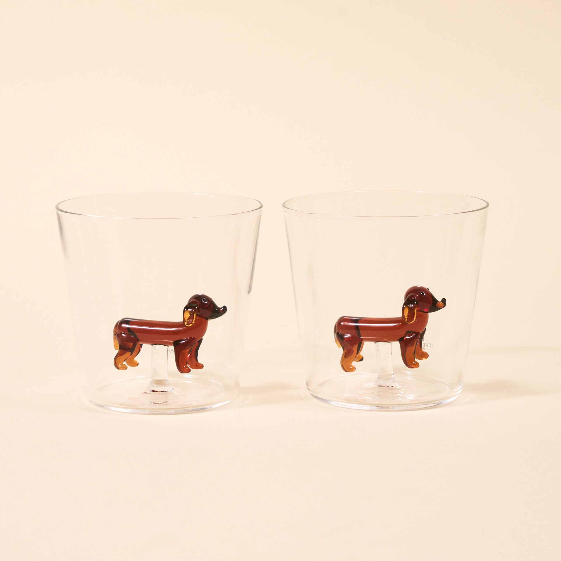 Dachshund