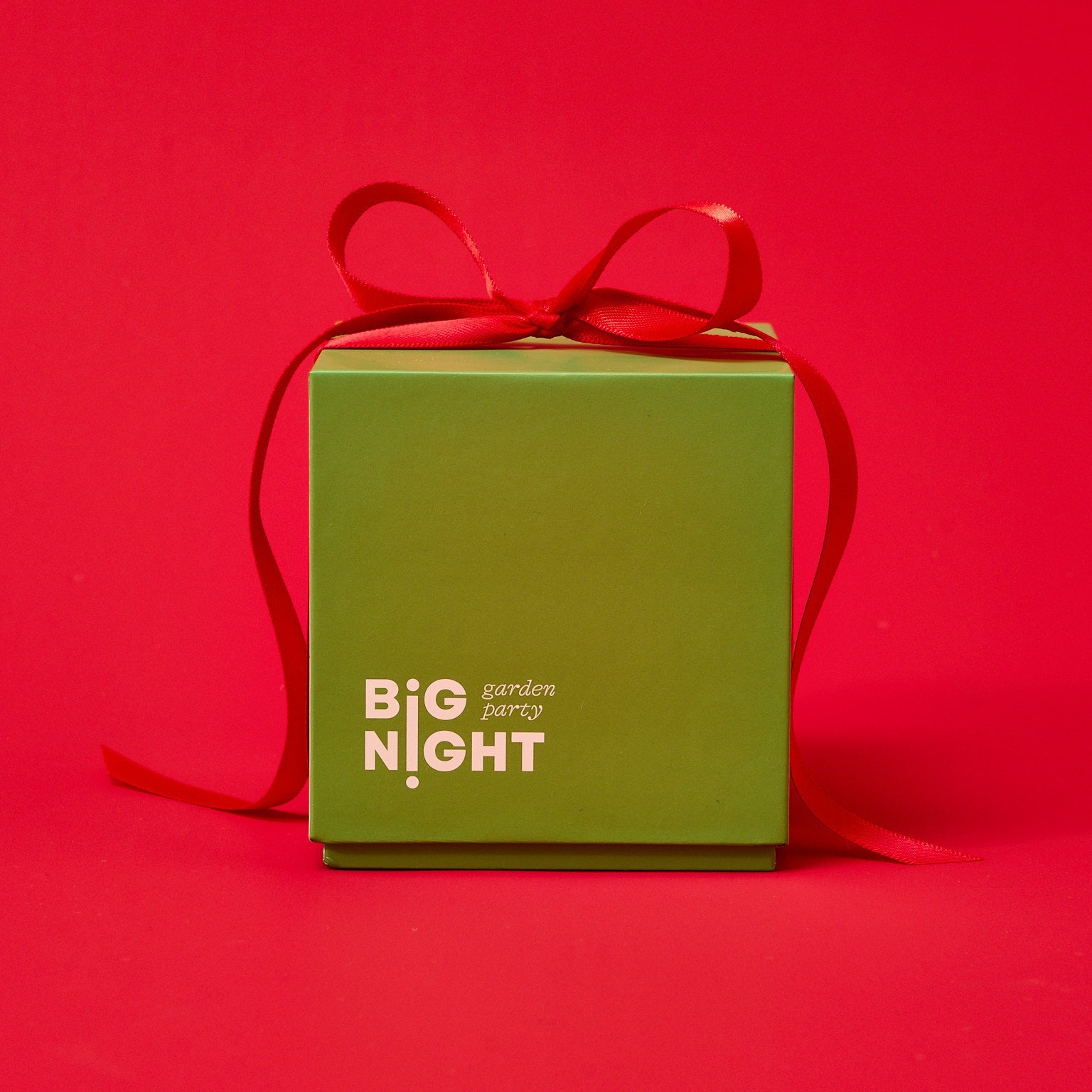 GARDEN PARTY by Big Night