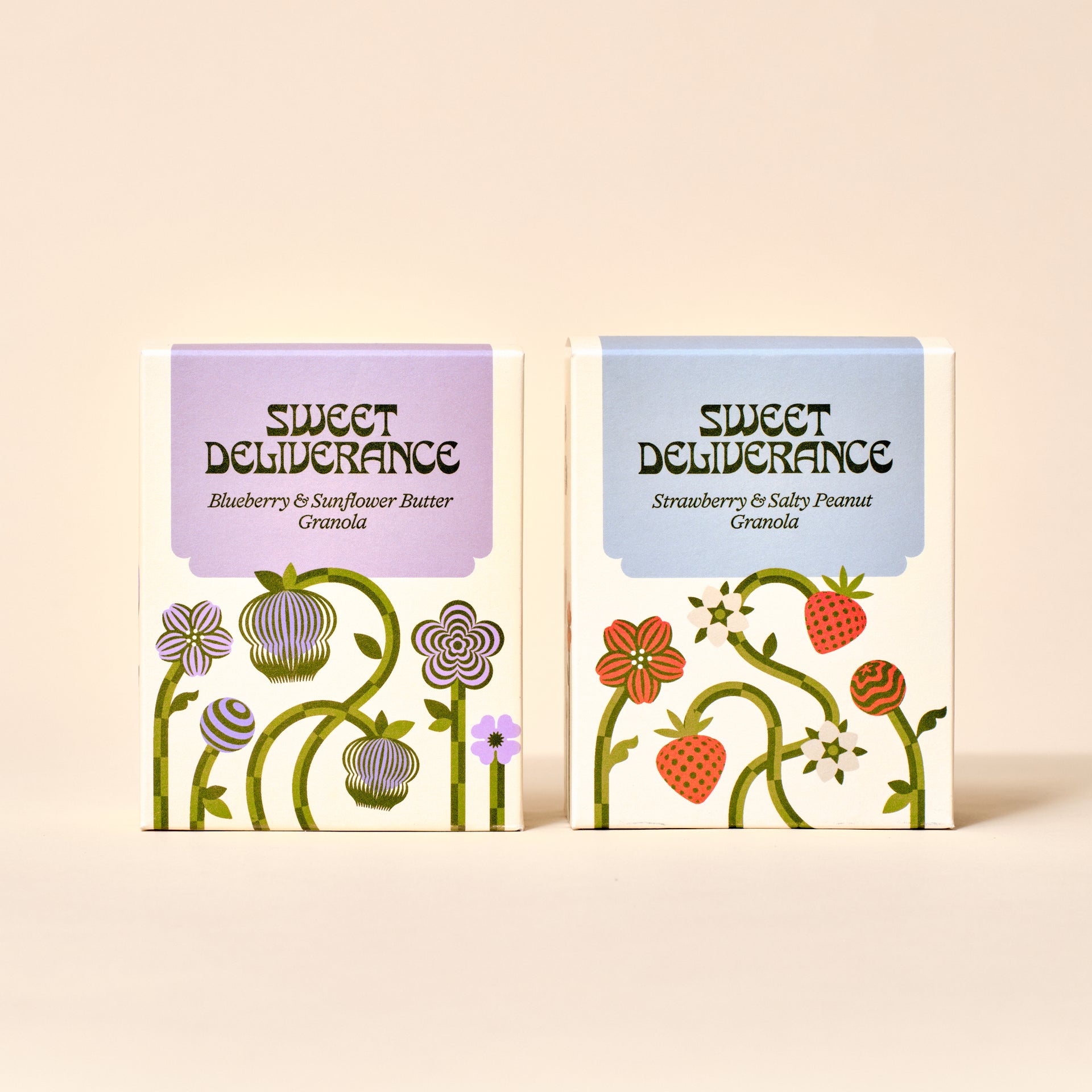 Blueberry Sunflower Butter Granola - BOXED, Strawberry & Salty Peanut Granola - BOXED