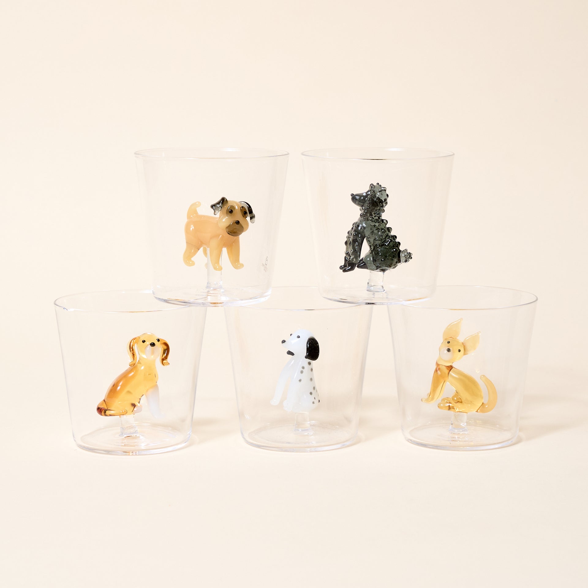Pug, Poodle, Golden Retriever, Dalmatian, Chihuahua 
