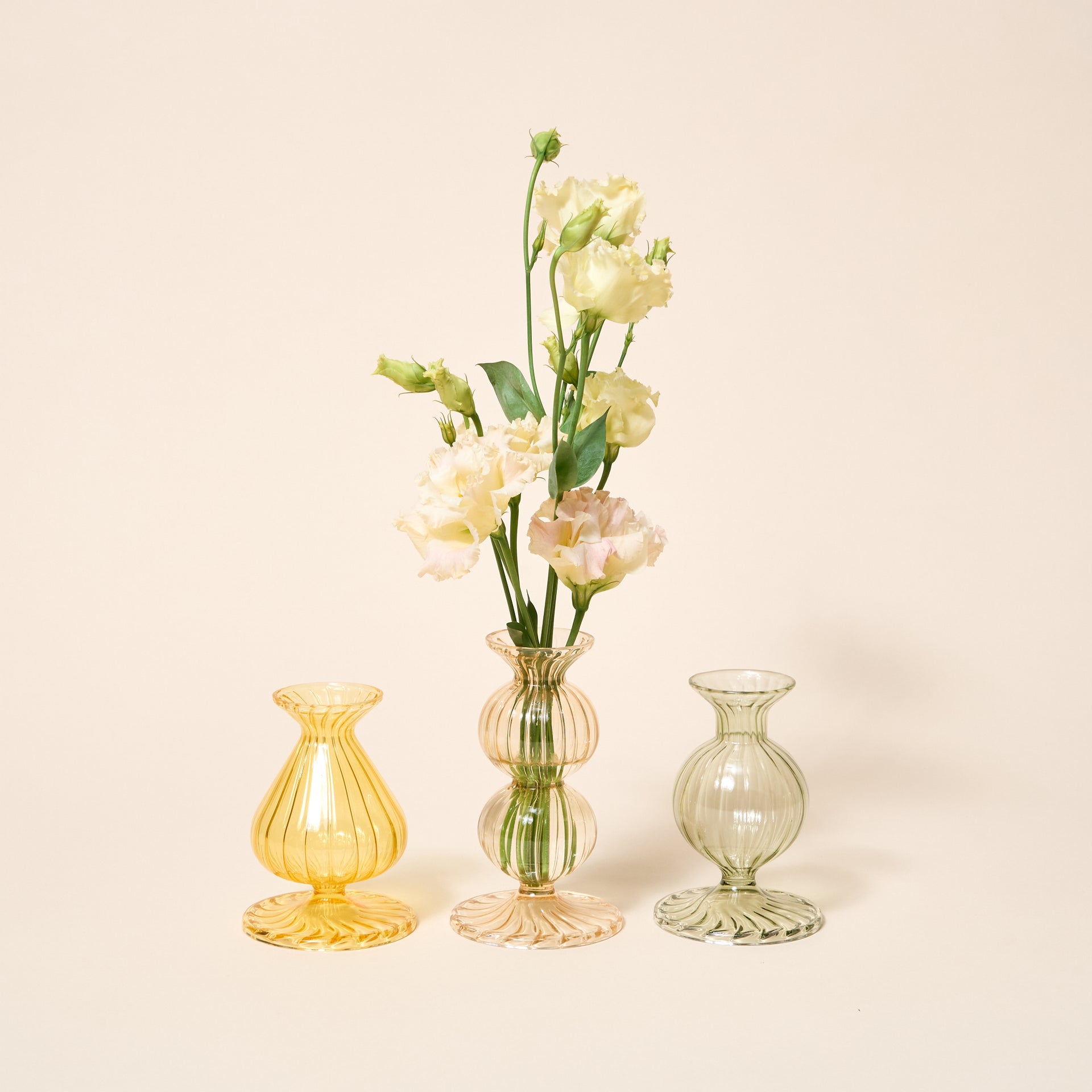 Parakeet, Dandelion, Daffodil