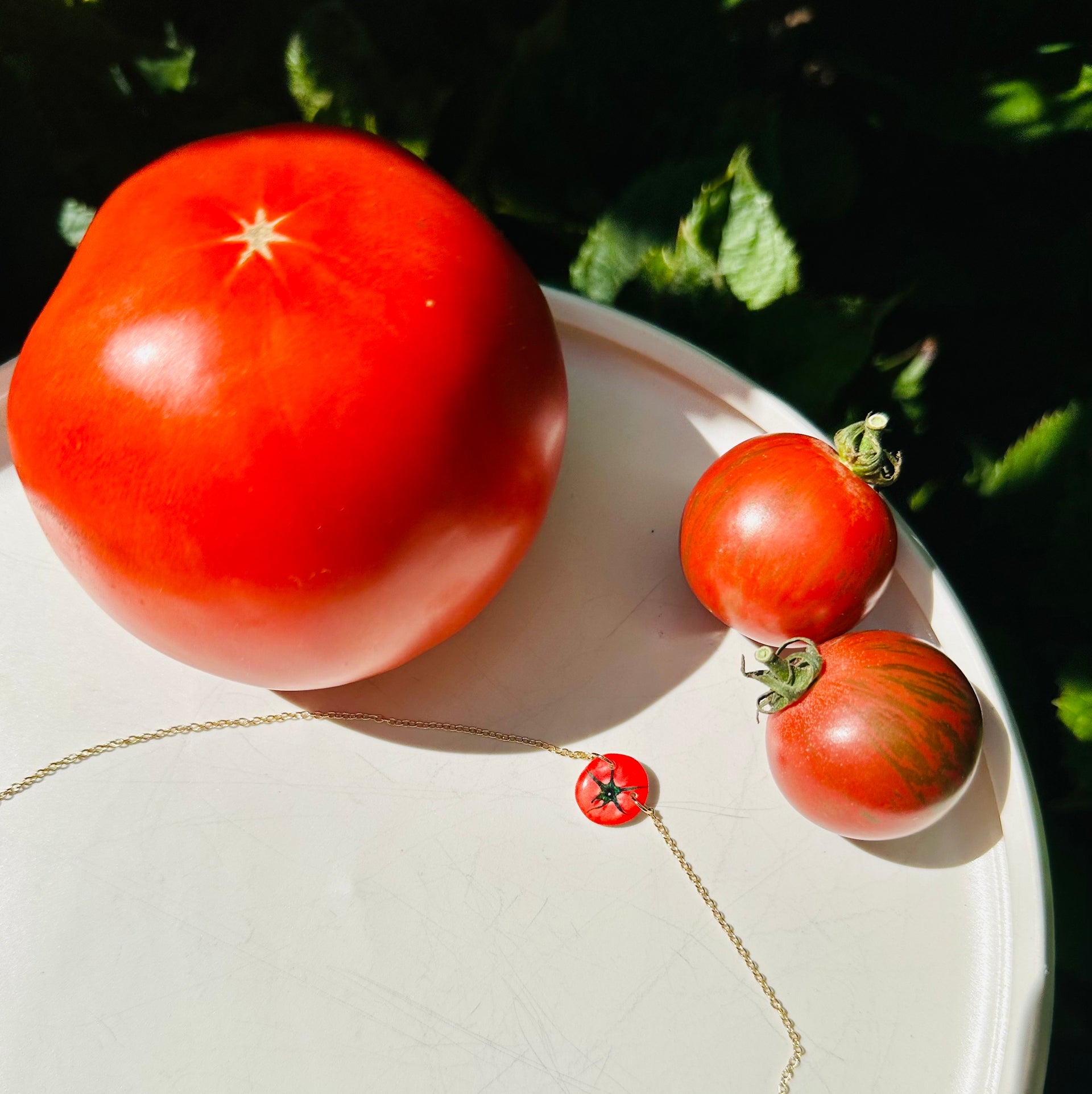 Tomato Girl - Haricot Vert x Big Night Necklace